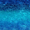 https://www.saltwateritaly.com/pantaloncino-reef-blue-dorado